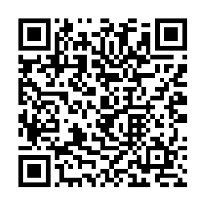 鞭子便仿佛有了生命似的卷向前面一个矮小的女孩儿二维码生成