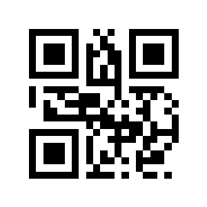 鞭式二维码生成