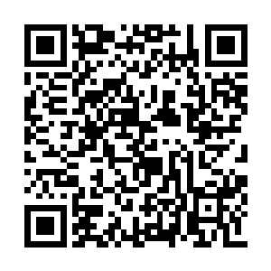 韦一笑从未有过像今天一样觉得自己身法太慢过二维码生成