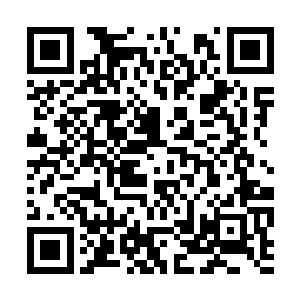 韦伯和周围的观众看着逼真到几乎没有破绽的特效二维码生成