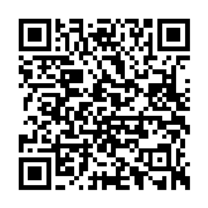 韦恩和阿尔弗雷德在佛罗伦萨同一家咖啡店相遇二维码生成