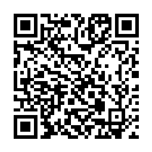 韦恩斯坦兄弟的这一举动被许多制片公司的高层嘲笑二维码生成