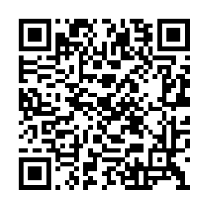 韦淼每次只去针对坐骑而不针对北莽士卒的出招二维码生成