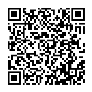 韩三童和秦汉中也分别和蓝岛市班子其他成员进行了一对一的沟通交谈二维码生成