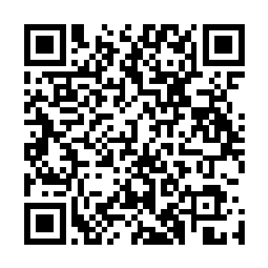 韩信和东临嫣雪六人同时出现在圣光塔内的一处未知区域中二维码生成