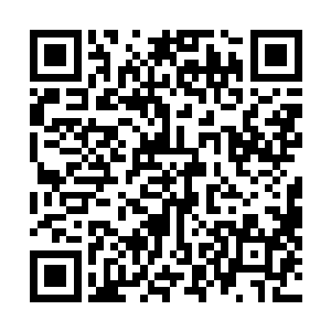 韩兄是说在下也可以在十字拍卖商会外面公开进行交易吧二维码生成