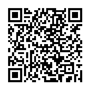 韩国医疗代表团乘坐的飞机落地时间和你们很接近二维码生成