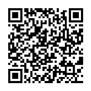 韩国唱片公司热衷于挑选出一到两名实力过硬的人选二维码生成