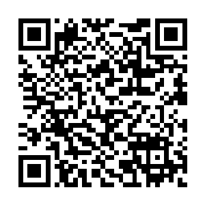 韩国顶级打野和潜力选手zero都已与王族战队签约二维码生成