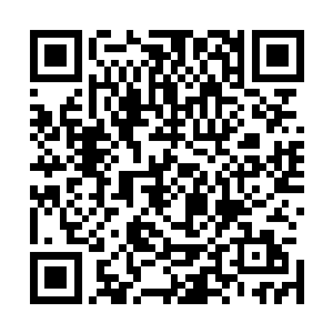 韩天成可是亲眼看到过自己儿子杀死了圣宫大圣域级别圣王二维码生成