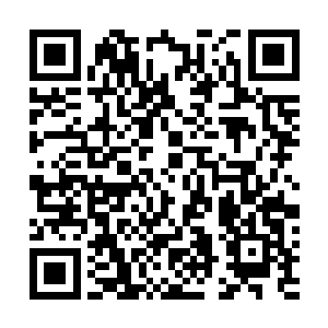 韩明月想要从他的眼皮子底下把人车撤出去岂有那么容易二维码生成