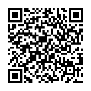 韩沉看着她两道乌黑的紧皱的眉头和下意识嘟起的嘴二维码生成