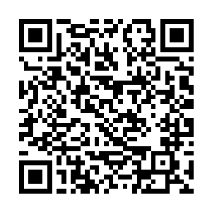 韩沉简单地把那天跟辛佳在树林相处的情况说了一遍二维码生成