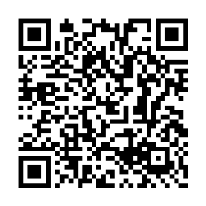 韩玲玲指着这里面唯一一个穿运动服的女子说道二维码生成