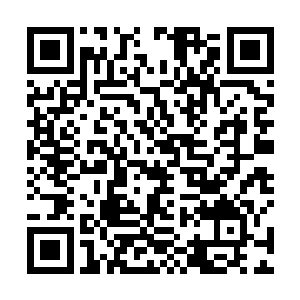 韩若诗的背影已经消失在了竹林中那条蜿蜒的小路尽头二维码生成