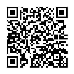 韩锋率先往三十里外埋藏异灵隐身果的方向飞奔过去二维码生成