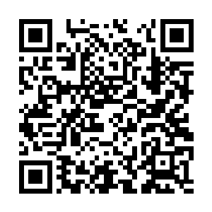 韩锦鸿是如何征服你这既美艳又厉害的超级杀手的二维码生成