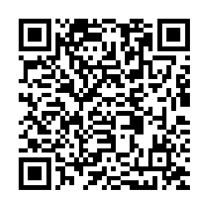 韩雪娇和林卓言再次用带着一丝崇拜甚至狂热的目光望向刘一维二维码生成