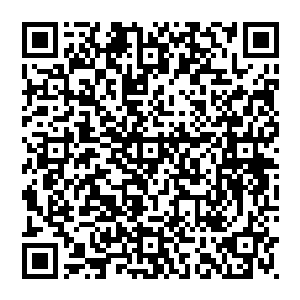 韩青青自爆了自爆的威能超过了周圣城毕竟她是筑基期第五层的修士其威能岂是筑基期第二层的周圣城能够比拟的二维码生成