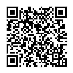 韩风了解到无渊森林内围大部分都是四五阶的战兽二维码生成