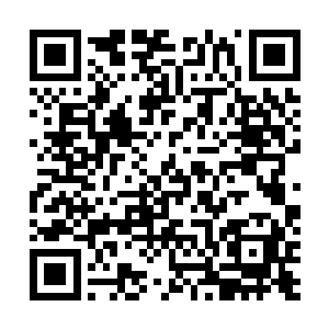 韩风从来没有像今天这样觉得自己距离死亡是如此的接近二维码生成