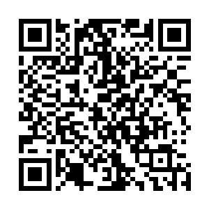 韩风倒是有些好奇变异的碧鳞鬼鲛和寻常碧鳞鬼鲛有何区别二维码生成