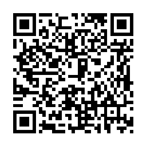 韩风做梦也没想到二尾猫雷兽的帮手竟然是老鼠二维码生成