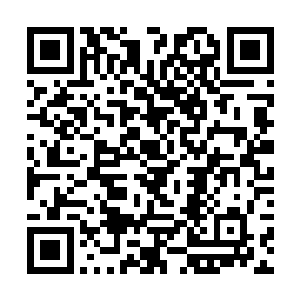 韩风在无渊森林最中心的位置找到了一株七色生命花二维码生成