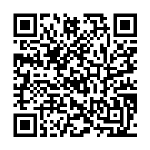 韩风并不知道任务大殿已经接到他可以接取任务的消息二维码生成