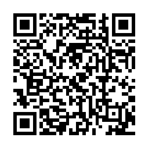 韩风想要找到一处没有任何碧鳞鬼鲛区域修炼的想法落空了二维码生成