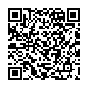 韩风或许是第一个能够真真正正抗衡圣域强者的半圣二维码生成