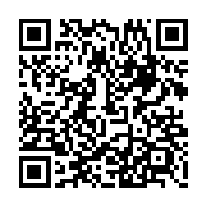 韩风扭头看向泡在熔浆池内美得冒泡的飞天炎狮二维码生成