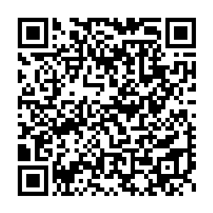 韩风早就释放大圣域气息将这些自视甚高的天之骄子压迫的灰头土脸二维码生成
