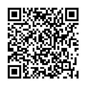 韩风清晰的看到刘姓男子右拳上的鲜血和缺了一截的食指二维码生成