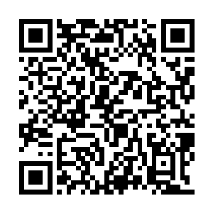 韩风的修为在这一刻如水漫金山一般的暴涨开来二维码生成