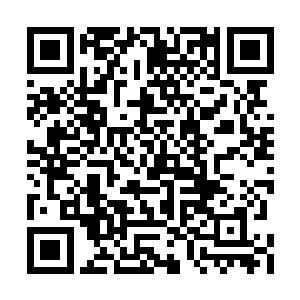 韩风肯定是吸收了大道之力才提升到了如此境界二维码生成