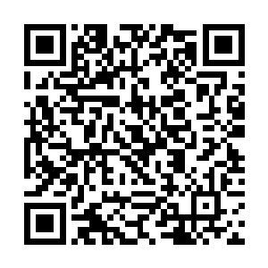 韩风自然知道这是自己力量暴涨了太多所产生的幻觉二维码生成