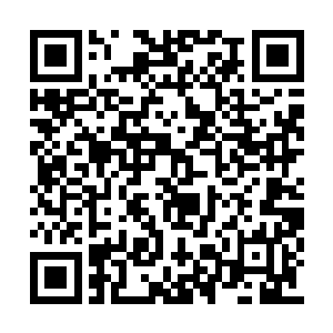 韩风还将龙诗昊兄妹留下的遗产交给了元罡神皇二维码生成