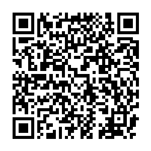音量之高直让苏凡怀疑这声音是怎么从她那小身躯里面迸发出来的二维码生成