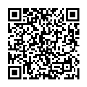 顶云从筑基期第十层初期突破到筑基期第十一层初期二维码生成