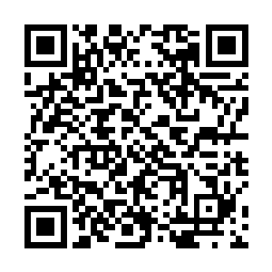 顶在上面小口子上的妖丹立刻被一股嗖嗖的火苗给顶起二维码生成