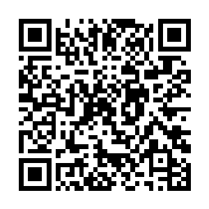 顶多不过就是一件可以当做空间法则使用的宝贝罢了二维码生成