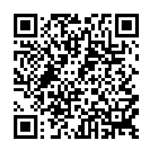 顶多只能算是一个以执念以及烙印为核心的记忆载体二维码生成