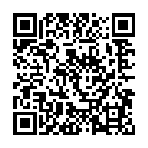 顶尖势力和中等势力们正在寻找第二个王族领地二维码生成