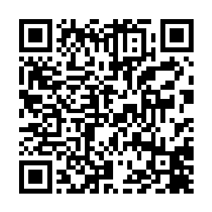 顶层6套200多平米的特色套房全被水晶兰资本租了下来二维码生成