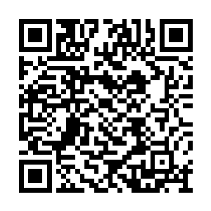 顶部观景台上的张承雷他们就兴奋的喊叫了起来二维码生成