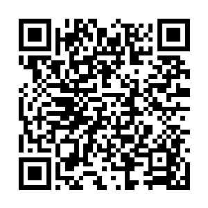 顷刻间化作一尊恐怖的万丈巨印浮现在了虚空之中二维码生成