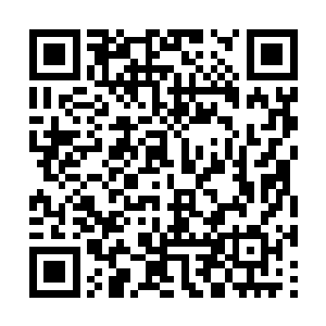 顷刻间龙傲天跟血天使两个人的攻击就撞到了一起二维码生成