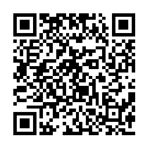 项均艾很快和自己的父亲项岳明低声商量了一会二维码生成