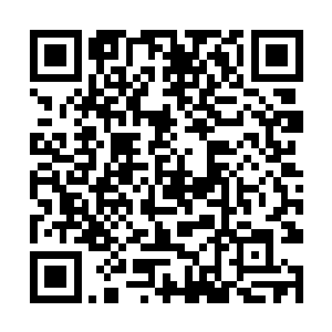 项烈和最后一位项家子弟同样爆发出他们的最强一击二维码生成